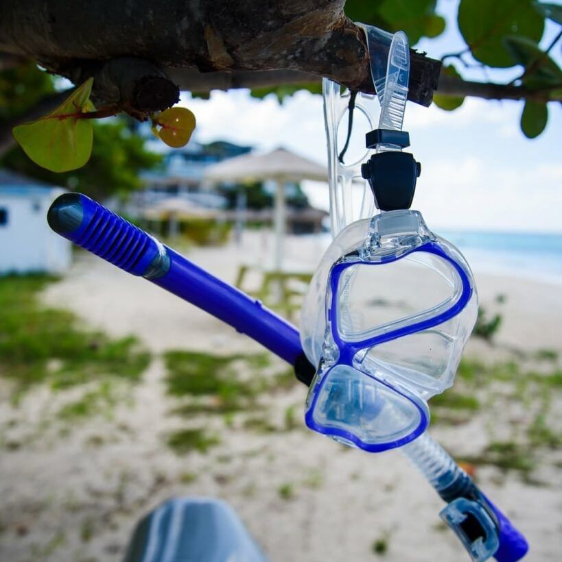Snorkel mask and tube hanging from a tree with a beach in the background | Tamarind Hills Resort and Villas - Antigua